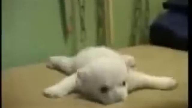 Маленький мишка смотреть онлайн