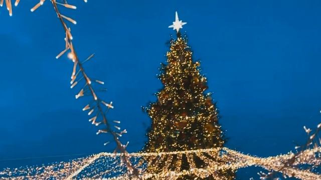 Evening lights [IRL] смотреть онлайн