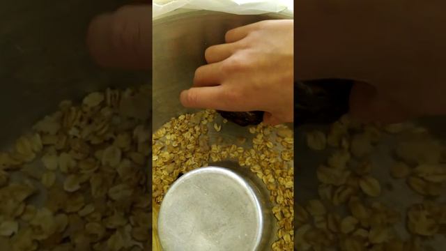 Вечный корм жуки знахари смотреть онлайн