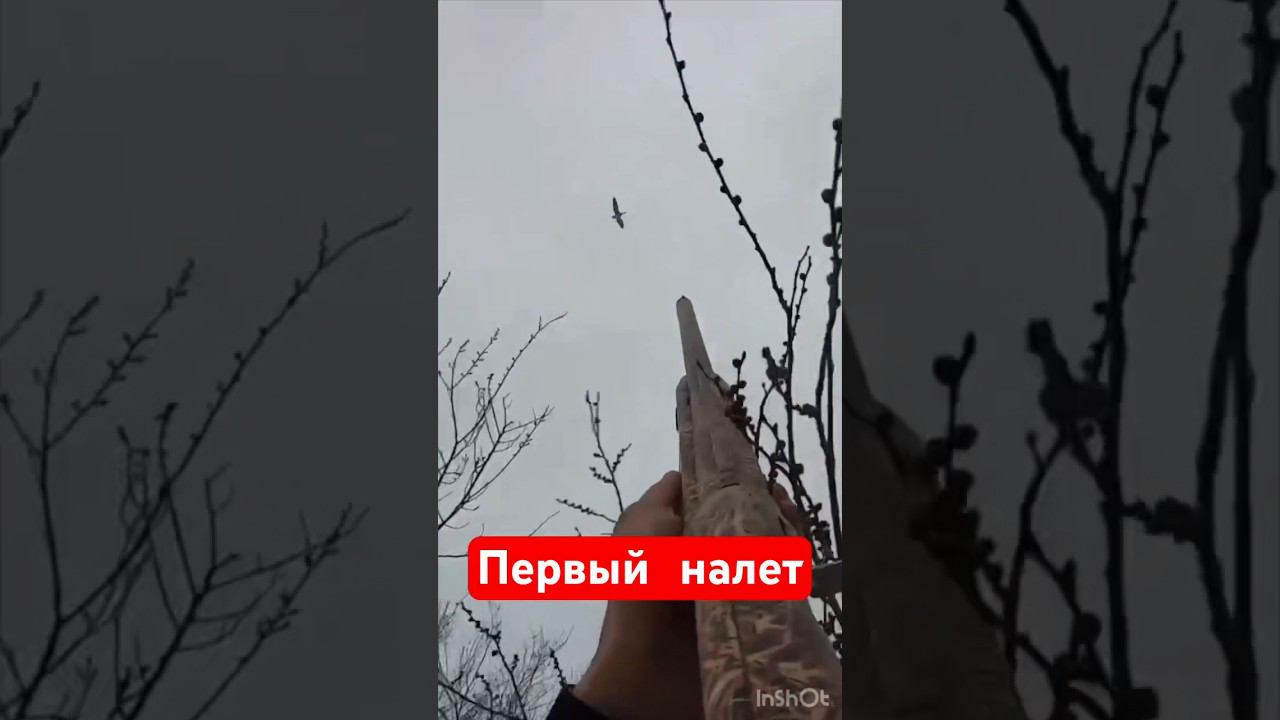 Охота на гуся #охота #охотанагуся #весенняяохота #охотанауток #охотавидео #shorts #шортс смотреть онлайн