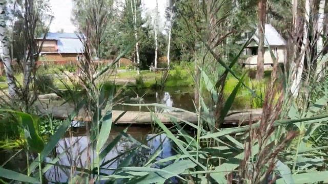 Делаем мостик на даче без опоры в пруду. Парящий пирс - трамплин. И водные растения. смотреть онлайн