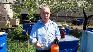 ПАСЕКА.ПЧЕЛОВОДСТВО. Обработка чистотелом.