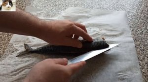 Как Разделать Скумбрию на Филе