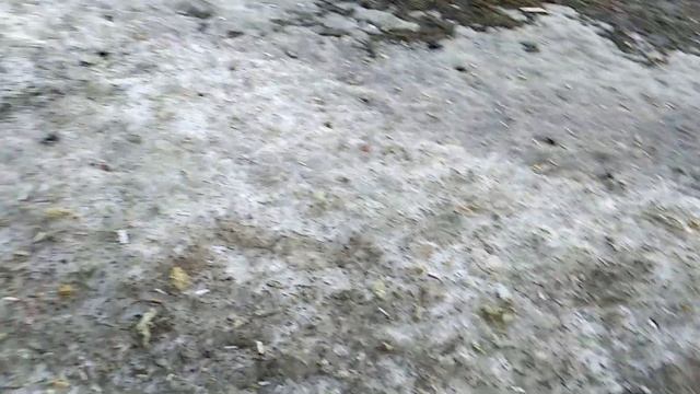 Утеплитель с уже построенных домов летает по всему ЖК Альфа Центавра смотреть онлайн