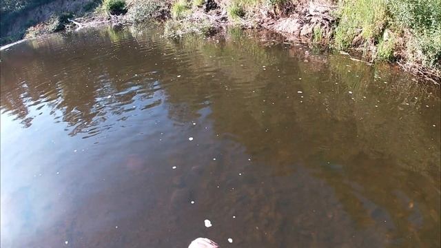 Рыбалка на паук подъемник смотреть онлайн