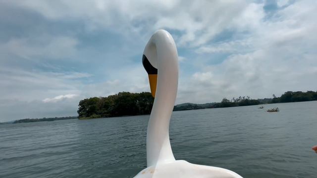 lake caliraya 2023: mountain lake resort day tour // travel diary 🍃 смотреть онлайн