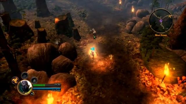Dungeon Siege 3 Gameplay on ATI HD 4650 and AMD Turion X2 dual core смотреть онлайн