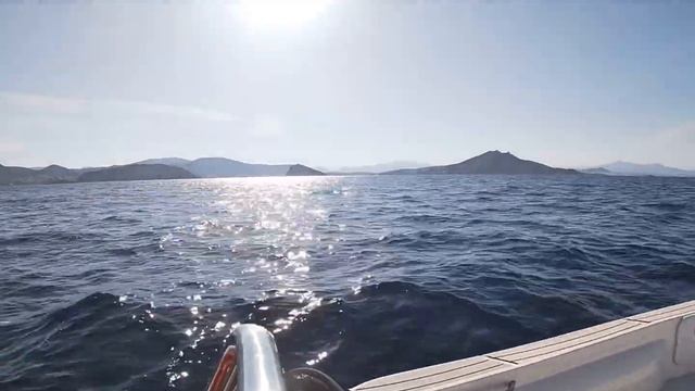 Laser 499 - Mercury 115 Pro XS смотреть онлайн