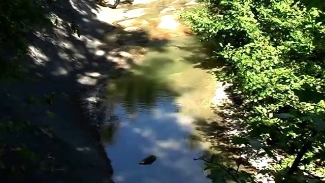 Поездка в Геленджик 2012г. Река Жане. С коляской намучались.