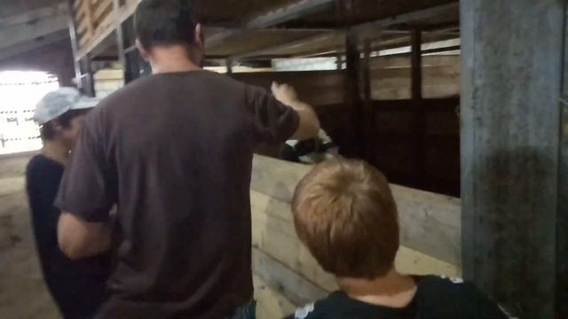 Внуки в зоопарке смотреть онлайн