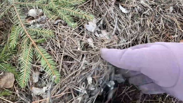 Влог 09.04.22. Работы в теплице, ГДЕ ВЕСНА? ? смотреть онлайн