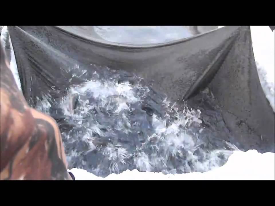 Садковое рыбоводство. Форель смотреть онлайн