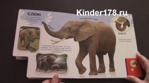 Говорящая энциклопедия для малышей "Про слона-великана и не только" Азбукварик. Видео-обзор