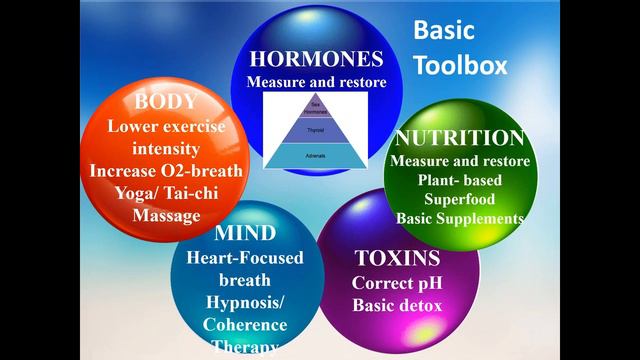 Tired of Being Tired? Basic Protocols from Dr. Pati смотреть онлайн