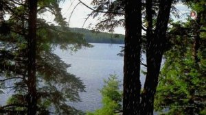 "ВАЛЬС  в  РИТМЕ  ДОЖДЯ" -  НАУМ  ЛИСИЦА