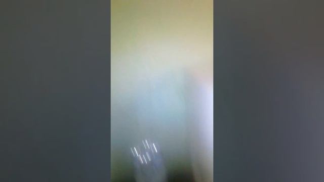 Что делать если ваш кот рыгает видео смотреть онлайн