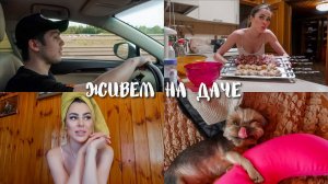 #ЖивемНаДаче 13 || ГОТОВЛЮ | ПРО ДУХОВНОЕ РАЗВИТИЕ | РАЗВОД БЛОГЕРОВ Даши и Юлика