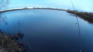 Рыбалка на старице реки Тура в Тюмени