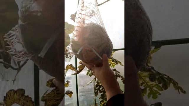 Совмещай работу с хобби смотреть онлайн