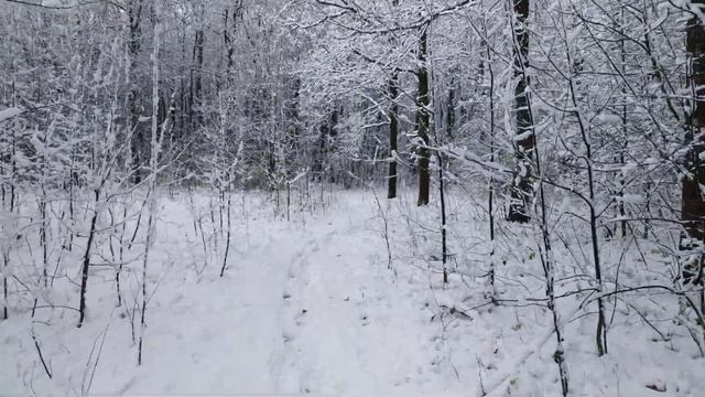 Хруст снега под ногами, первый снег в октябре смотреть онлайн
