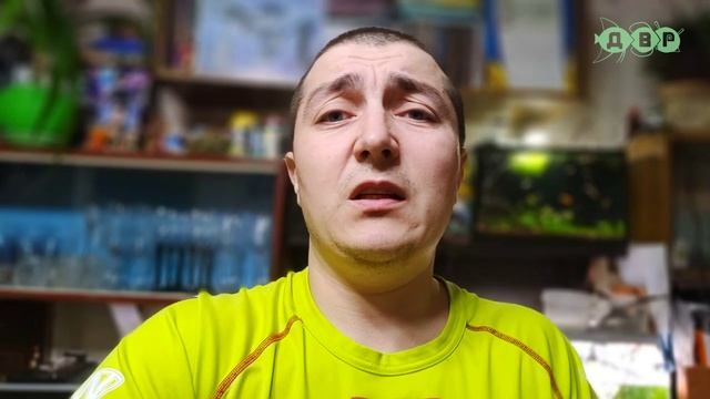 Отвечаю на часто задаваемые вопросы про Артема, Ферму Л- СОМОВ .... смотреть онлайн