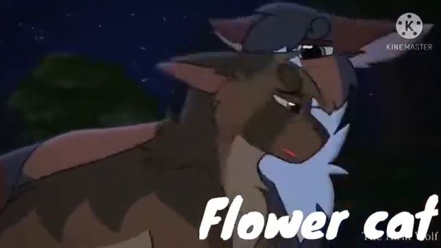 VILAIN - коты воители [клип] [Flower Cat] (описание) смотреть онлайн