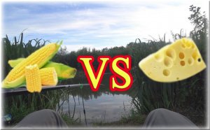 Рыбалка на поплавок летом! Сыр против кукурузы!