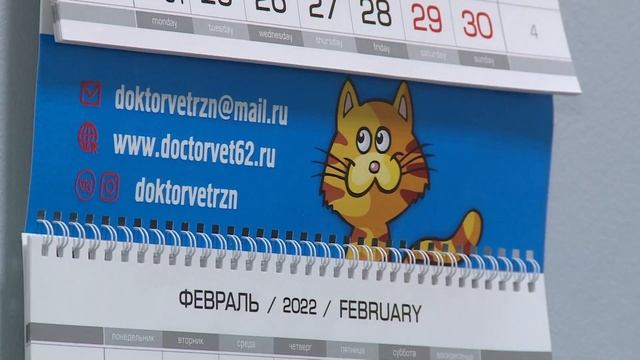 Лакомство для питомцев: как подобрать корм смотреть онлайн