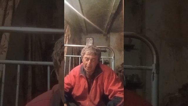 стих. в этот вечер милая смотреть онлайн