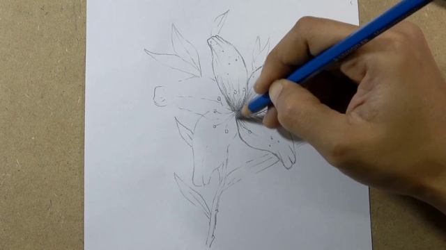 How to Draw a Lily Flower easy - step by step | Hihi Pencil смотреть онлайн