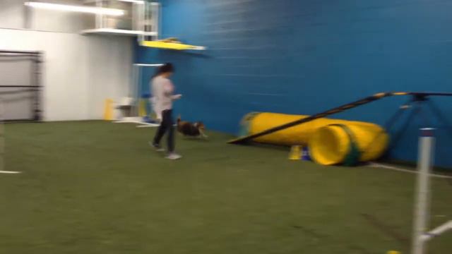 Agility Run Thrus 1.3.15 смотреть онлайн