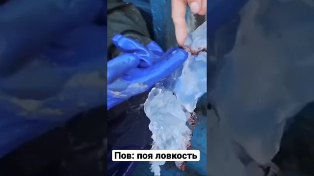 Минус глаза 👀 смотреть онлайн