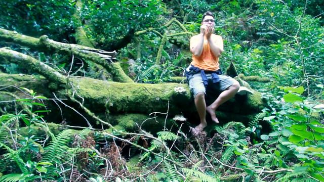 Варган в субтропическом лесу 3 смотреть онлайн