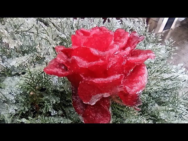 Обледенение в Геленджике! смотреть онлайн
