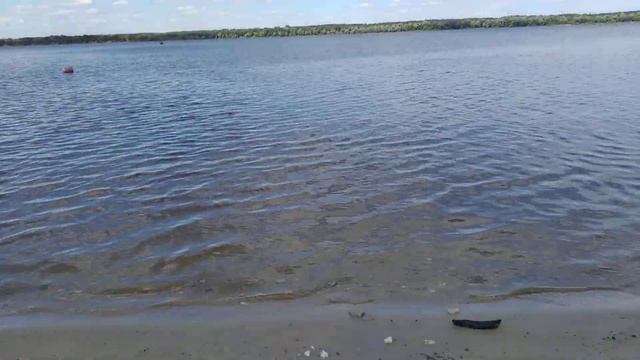 Влог/Вот такие наглые бабы у нас. смотреть онлайн