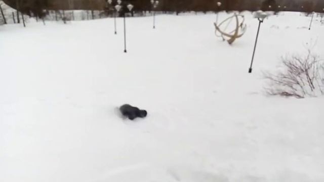 Экстримальный прыжок в снег смотреть онлайн