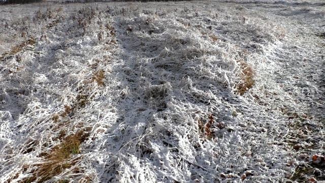 Видеозарисовка Выпал первый снег смотреть онлайн