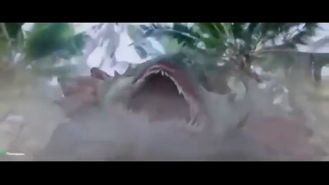 Anakonda 2020 смотреть онлайн