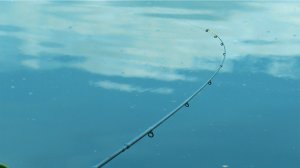 Ловля  на фидер ранней весной. Рыбалка на реке Быстрая Сосна.