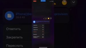 КАК ИСПРАВИТЬ НЕ УДАЛОСЬ ПРОВЕРИТЬ ЦЕЛОСТНОСТЬ ПРИЛОЖЕНИЯ, КАК ИСПРАВИТЬ СЛЕТ ПРИЛОЖЕНИЯ IOS SCARLE