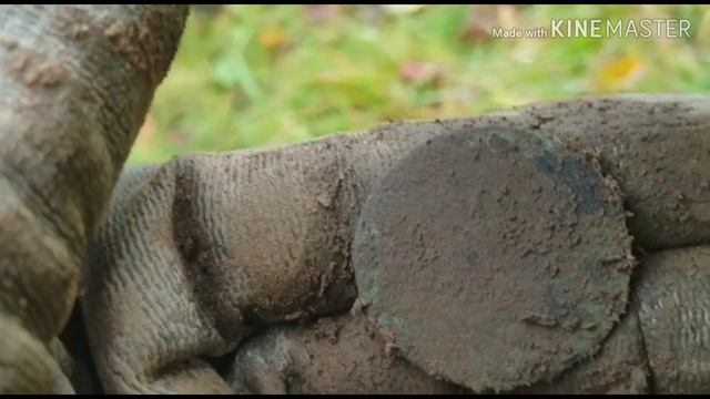 Metal detecting uk. fields. смотреть онлайн