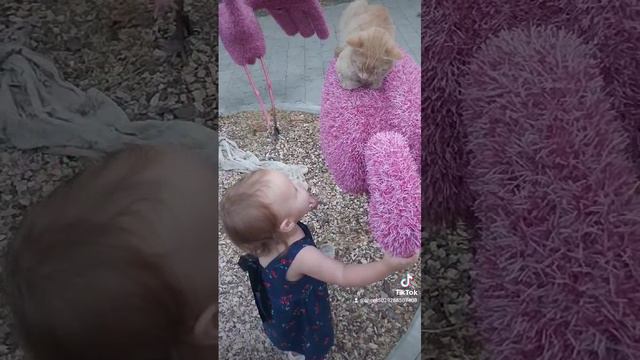 ни минуты покоя 😈