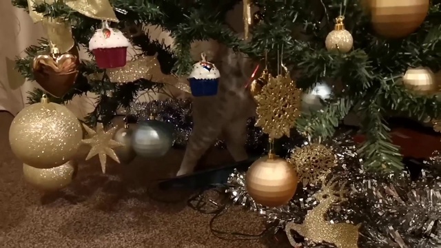 вот кто радуется празднику больше нас) смотреть онлайн