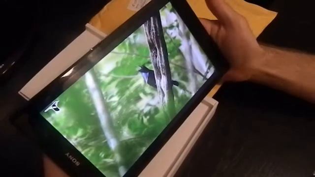 Обзор, unboxing Sony Xperia Z3 Tablet Compact 16GB WIFI смотреть онлайн