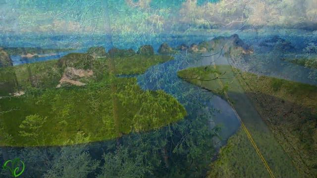 Нежная музыка, успокаивает нервную систему и радует душу 🌿 лечебная музыка для сердца и сосудов #27 смотреть онлайн