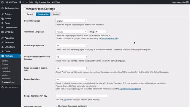 How to Translate a WPZOOM Theme using TranslatePress plugin смотреть онлайн