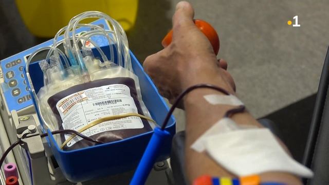 Dons du sang : Journée mondial pour urgence vitale смотреть онлайн