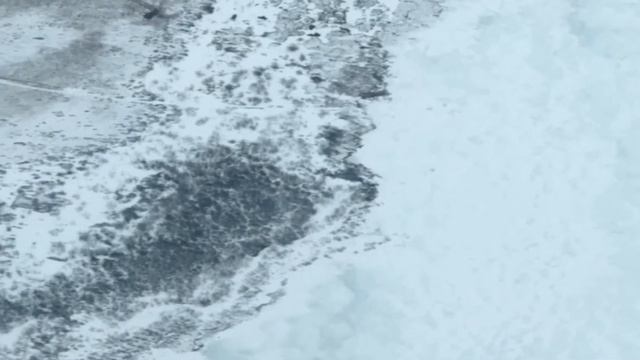 Прохождение Never Alone | Никогда Не Одиноки (1-4) Друг +24 экскурсии смотреть онлайн