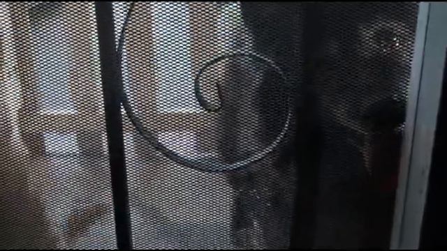 Hey Maggie ~ A Song For My Dog смотреть онлайн