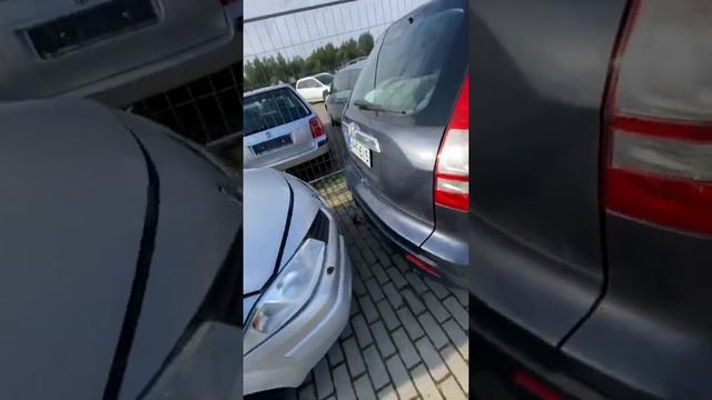 Покупка в Литве микроавтобусов и паркетников. Цены на Авто в Литве осень 2021г. #пригонавтоизевропы смотреть онлайн